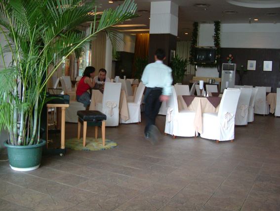 2003101119375837085.jpg