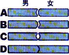 2003122511212754656.jpg