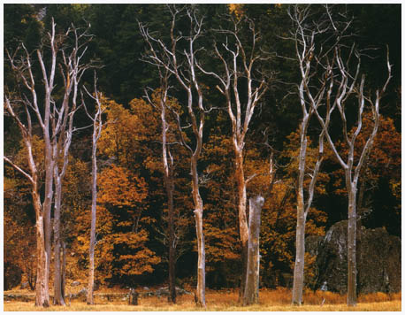 20033168163284046.jpg