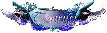 200332723325584223.gif