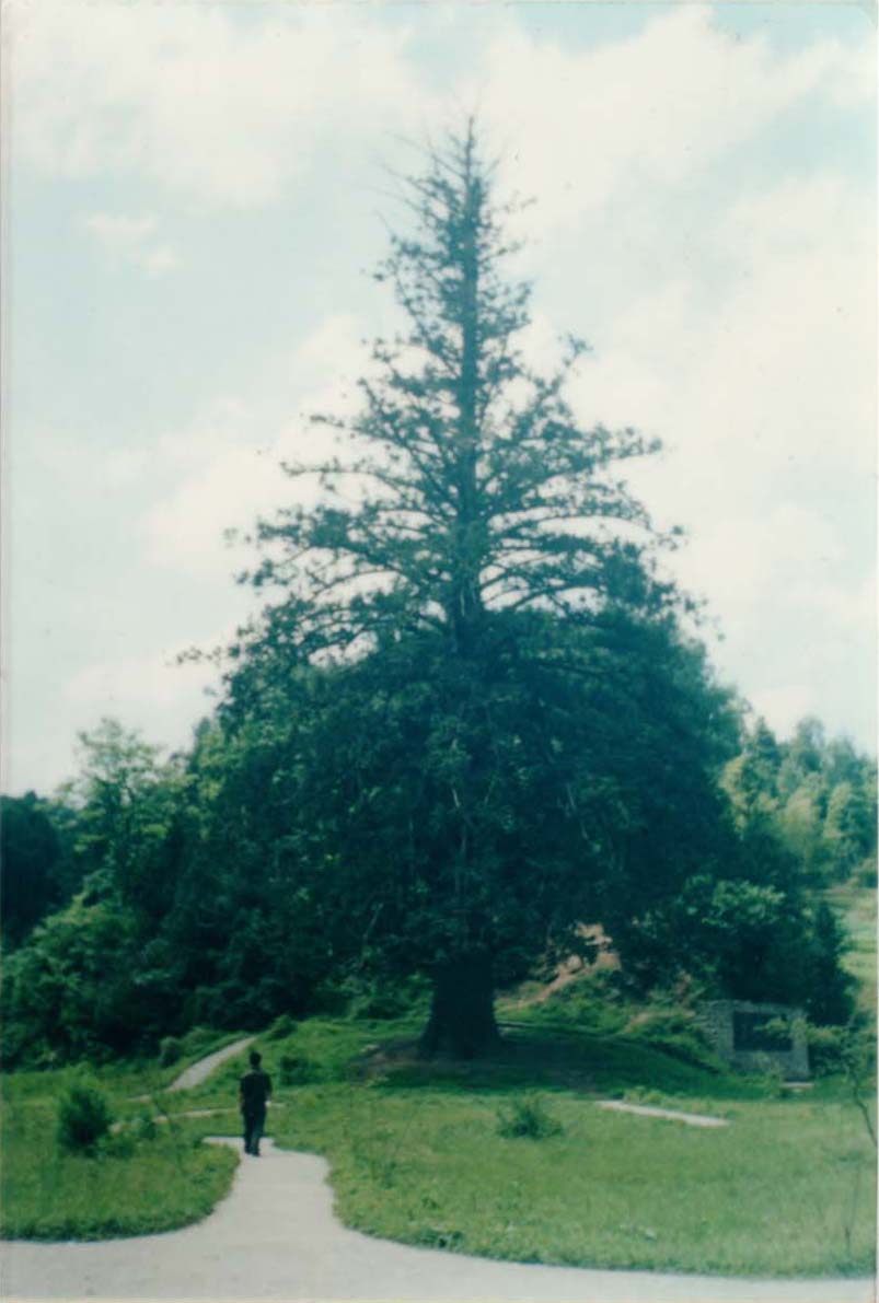 200342318002961629.jpg