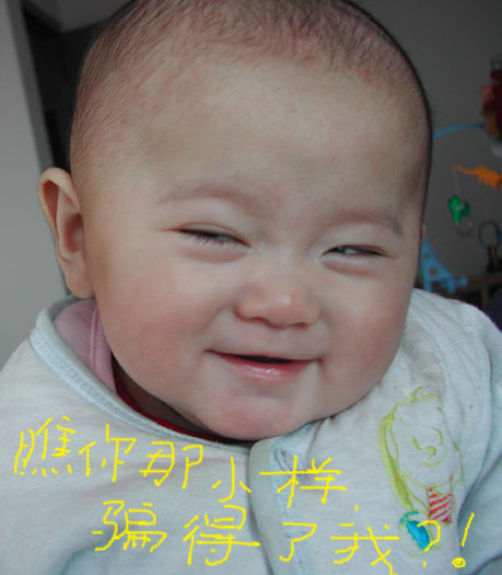 20034292213788197.jpg