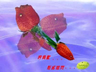 2003442282516903.jpg