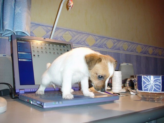 20035141522631086.jpg