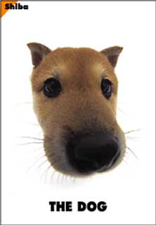 2003525922442263.jpg