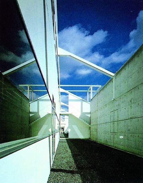 20036142533387552.jpg