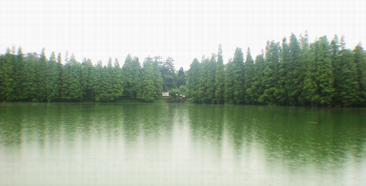 200361522443710213.jpg