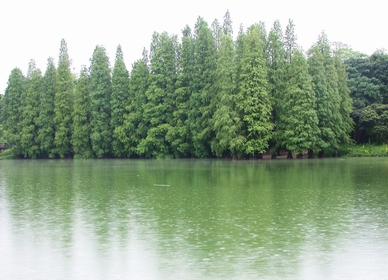 200361522445670397.jpg