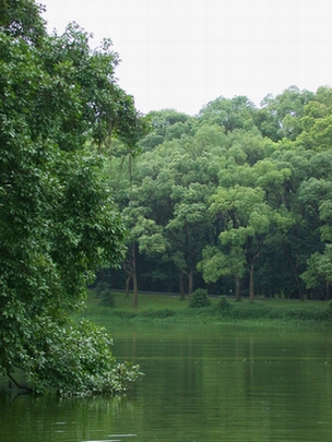 20036152245753714.jpg