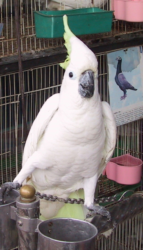 200362220505768181.jpg