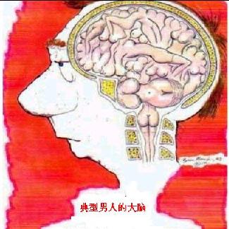 2003631626830365.jpg
