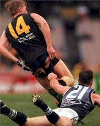 2003688205623668.jpg