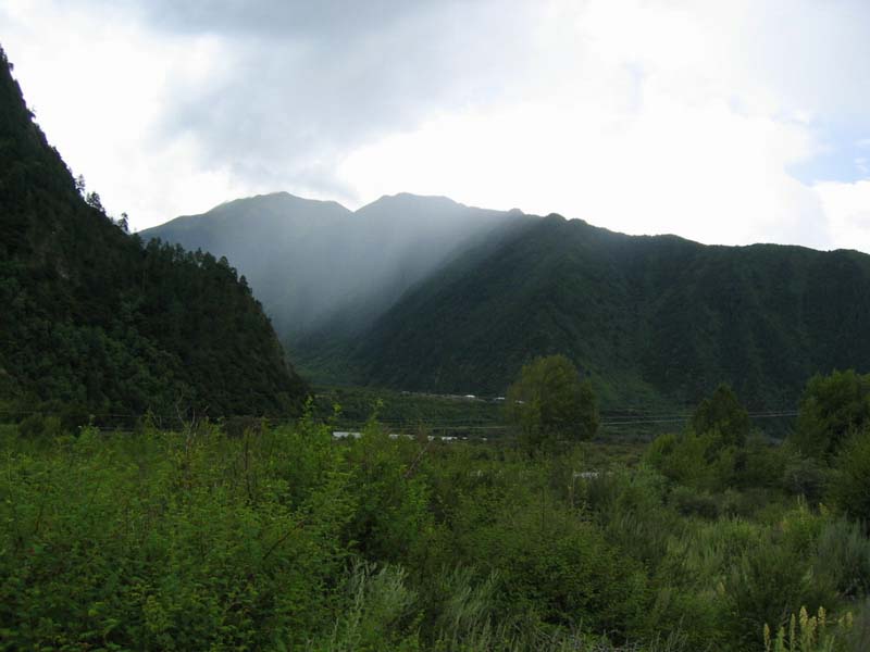 2003911057914535.jpg