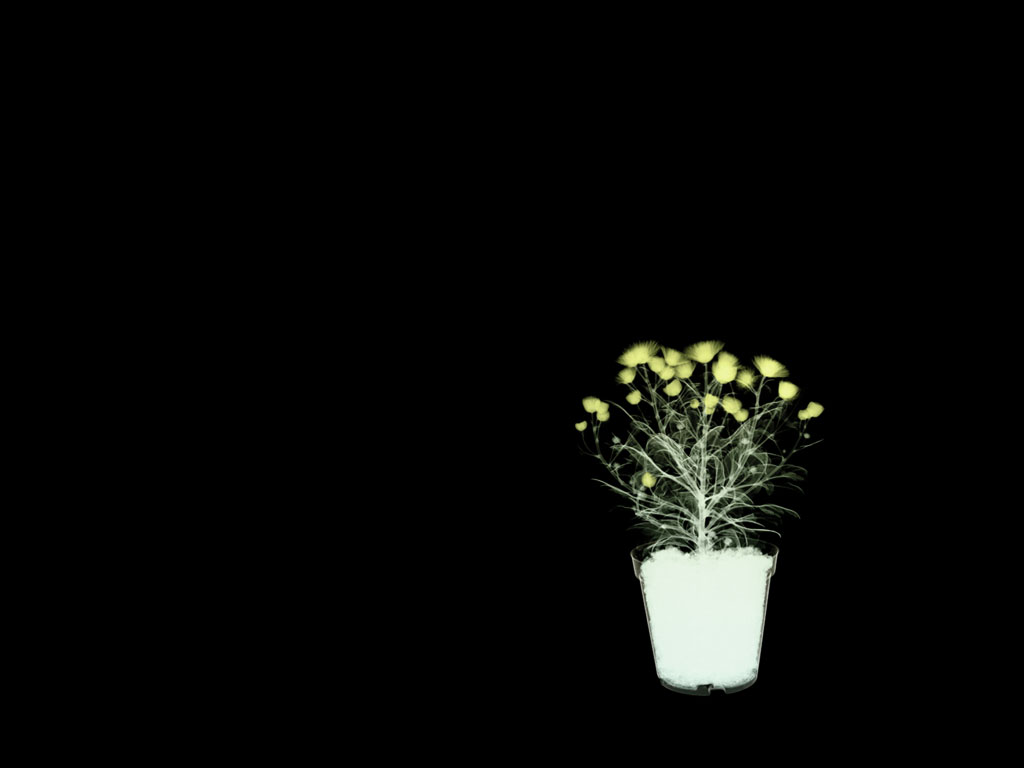 200392811273085887.jpg