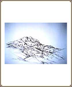 20039281335728477.jpg