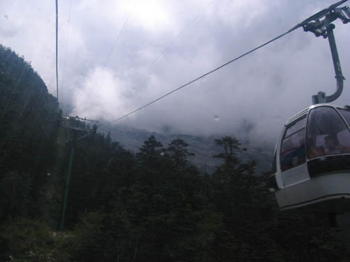 20039423272655424.jpg