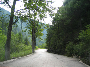 2003950393763214.jpg