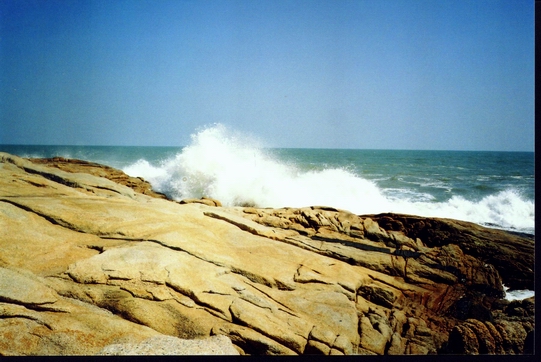 200410101943055717.jpg