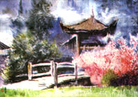 2004102511343535005.jpg