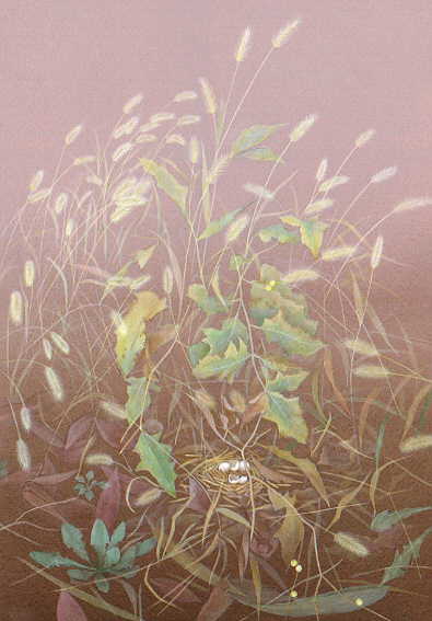 200411111842634540.jpg