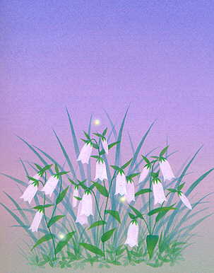 2004111118432366485.jpg