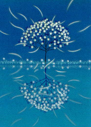 200411111845460775.jpg