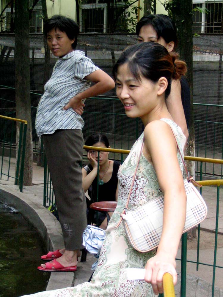 200411181784793199.jpg