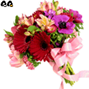 20041123025356681.gif