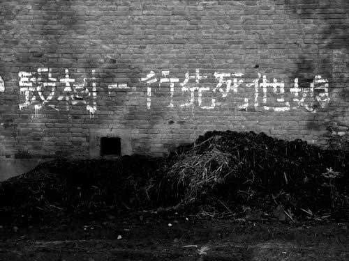 2004122113263775104.jpg