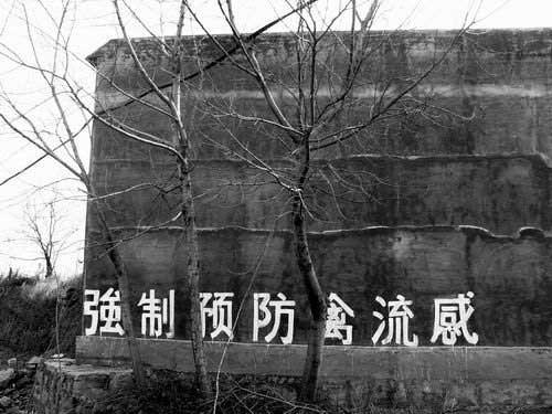 2004122113272220788.jpg