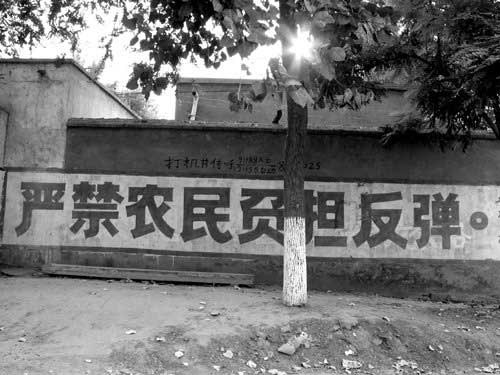2004122113281458905.jpg