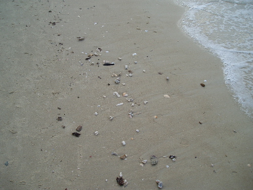 200412271342326383.jpg