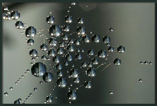 200412619335492504.jpg