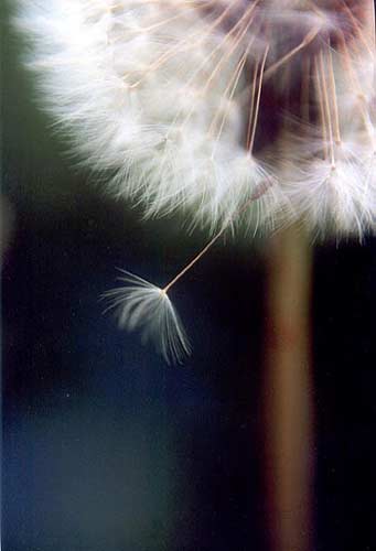 200412916321968039.jpg