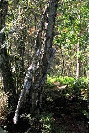 20042131626993113.jpg