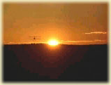 200441523315686527.jpg