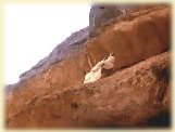 20044152332110859.jpg