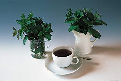 20044221032462931.jpg