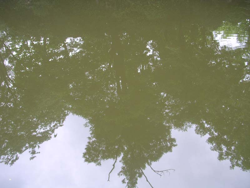 200451621103978278.jpg