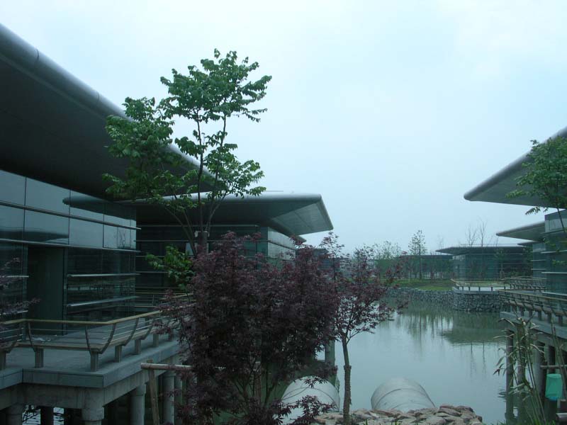 200451621295955807.jpg