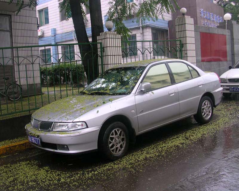 20045170315315421.jpg