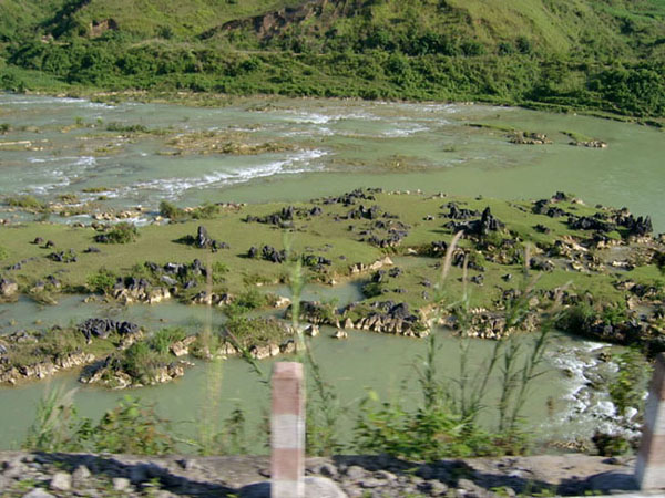 20045241137312205.jpg