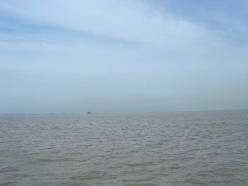 200452512211044529.jpg