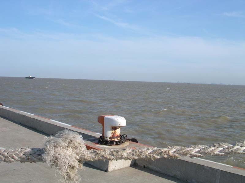 200452512234552106.jpg