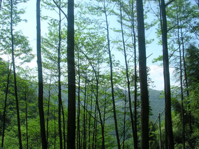 20045623521230409.jpg