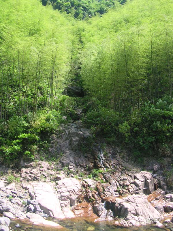 20045623552580308.jpg