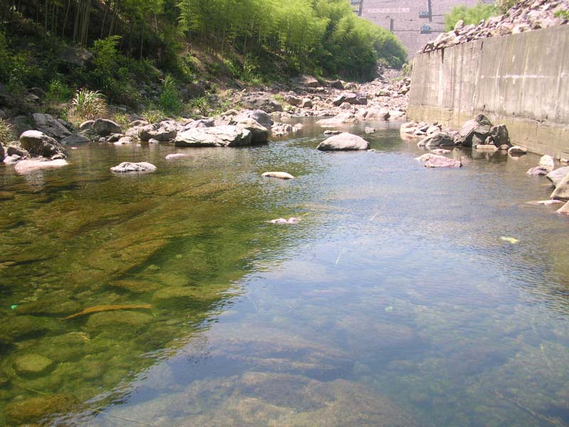 20045623553778305.jpg