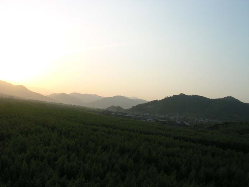 2004562355670074.jpg
