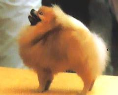 2004636523040283.gif