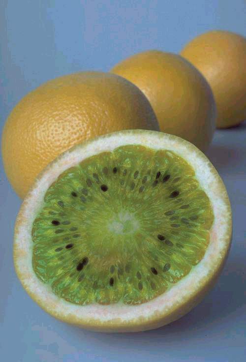 2004719332848173.jpg